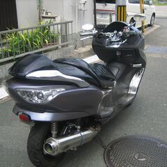 フォルツァ　美車動画付の画像