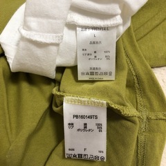 Tシャツの画像