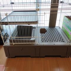 【受付終了】猫用ケージ  キャットケージの画像