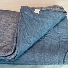 【取引き中】冷感リバーシブル肌掛け布団　2枚組 ひんやり快適！COOLの画像