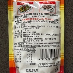 未使用品　塩コショウ詰め替え170g とアヤムゴレンの素2袋の画像