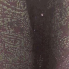 【キャンセルの為！！再募集！！！】 Yves SaintLaurent イヴサンローラン 大判ストール の画像
