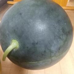 6.1キロ4.4キロスイカの画像