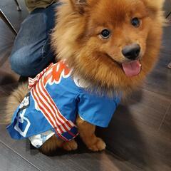 伊川谷、池上付近の犬友達