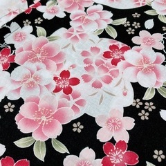 黒地に桜　浴衣の画像