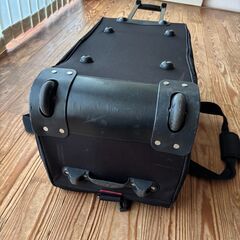 Colemanソフトキャリーケースの画像