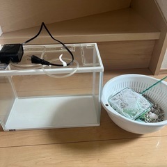 水槽セットの画像