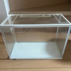 水槽セットの画像