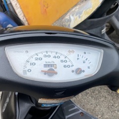 ☆ ★ ディオ ★ ☆の画像