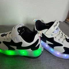 2-3回のみの使用！ローラーシューズ 2輪 led 7色の画像