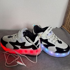 2-3回のみの使用！ローラーシューズ 2輪 led 7色の画像
