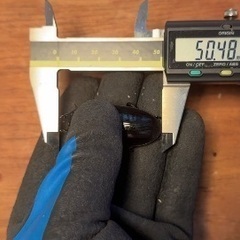 ※小学生以下限定　　オオクワガタ 新成虫ペアの画像