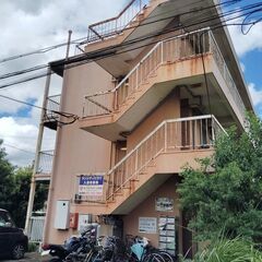 ✡多目的に利用の大分市森町㌀・🐶・😽・1階から3階🏢・先ずはジモ...