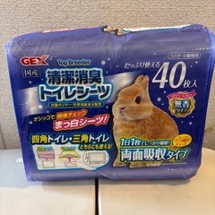 ウサギ飼育用品の画像