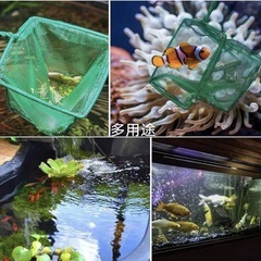 メダカ鉢保護ネットと網2個セット（バラ売可 ）の画像