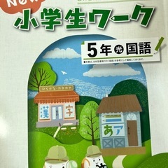 小学五年生　夏休みとりあえず　参考書、ドリル、ワークなどの画像