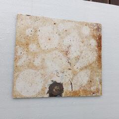 陶芸棚板　1枚の画像