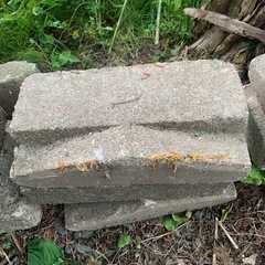 ブロック大量の画像