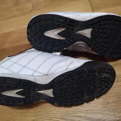 ZETTの野球トレーニングシューズ 25,5の画像