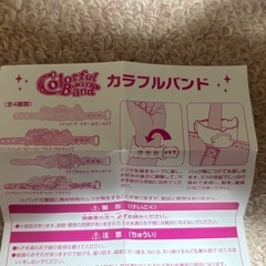 カラフルバンド　スプラッシュマウンテン　TDRの画像