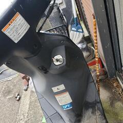 スズキの画像