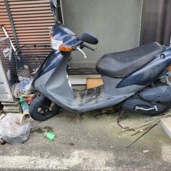 スズキの画像