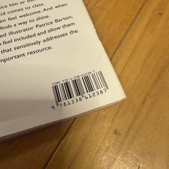 【洋書絵本】The Invisible Boy / Ludwig Trudyの画像