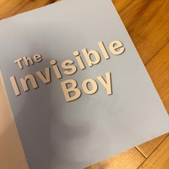 【洋書絵本】The Invisible Boy / Ludwig Trudyの画像