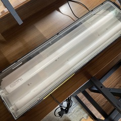 観賞魚用蛍光灯 屋内用の画像
