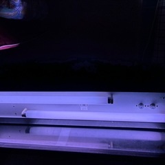 話し中　
900水槽の画像