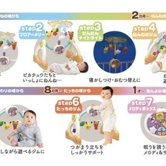 ポケモン メリージム※条件付き無償可の画像