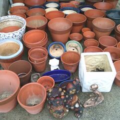 植木鉢「素焼き・陶器・他」差し上げますの画像