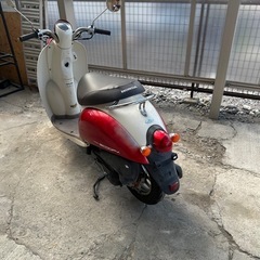 ホンダクレアスクーピの画像