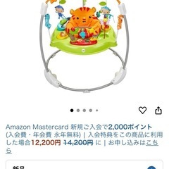 ジャンパルーII 【日本正規品】3カ月~ 赤ちゃん 幼児 子ども 幼児 乗用玩具 ジャンパー DTD91の画像