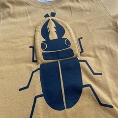 Tシャツ３点セットの画像
