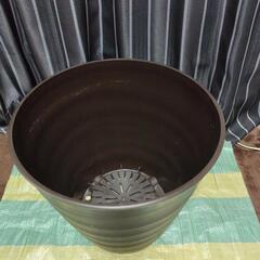 ④特大植木鉢(プラ)の画像