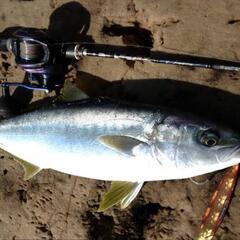 時間が合う時に釣りしましょ！ - 友達