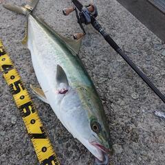 時間が合う時に釣りしましょ！ - 苫小牧市