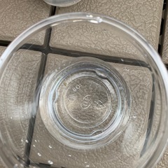 メダカの卵※ご相談くださいの画像
