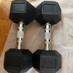 ベンチシート＋10kg ダンベル2個の画像