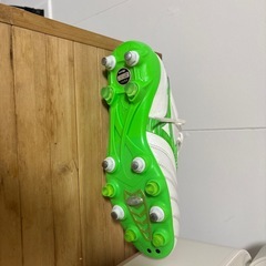 スパイクの画像