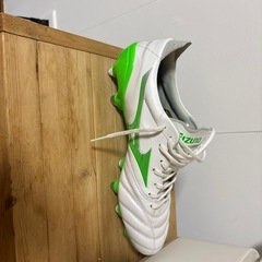 スパイクの画像