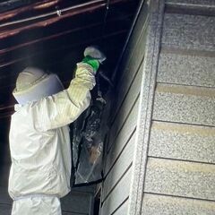 🐝ハチの巣・害虫害獣駆除！安全対策もお任せ🐝 - 名西郡