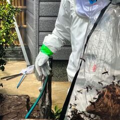 🐝ハチの巣・害虫害獣駆除！安全対策もお任せ🐝 - 地元のお店