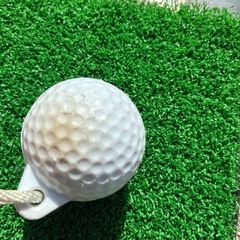 自宅で手軽に♪ゴルフ練習器具♪　の画像