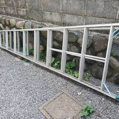 庭の高い樹木剪定に使っていた長い梯子、さしあげます