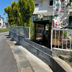 朝採り野菜各種の画像