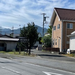 朝採り野菜各種の画像