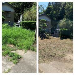🌿草刈り・庭の片付けお任せください！即日対応OK🌿お墓参り代行 - 名西郡
