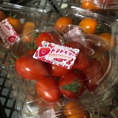トマトベリーの画像
